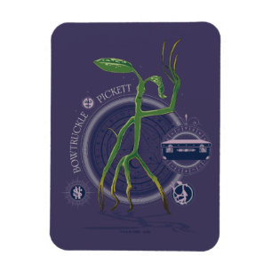 PICKETT™ The BOWTRUCKLE™グラフィック マグネット