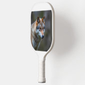 Pickleball paddles  ピックルボールラケット (左)