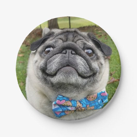 Pickles Paper Plate ペーパープレート (正面)