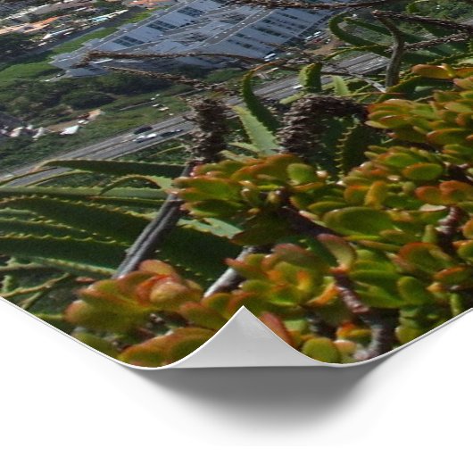 Pico dos Barcelos IIポスター ポスター (角)