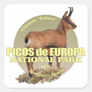 Picos de Europa NP (セーム皮)の重量 スクエアシール