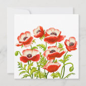 Picoteeの赤いケシによってはブライダルシャワーの招待状が開花します 招待状 (裏面)