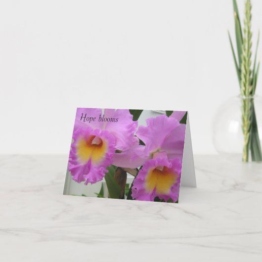 PICT0393の希望の開花 サンキューカード (正面)