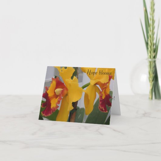 PICT0396希望が咲く サンキューカード (正面)