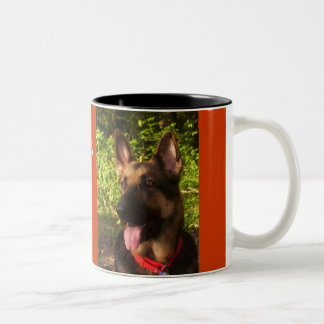 Picture_0511のロイヤリティ、献身、愛、私のGSDLUCK… ツートーンマグカップ