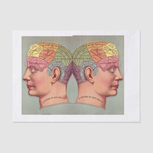 Picture of Perfect Health Vintage Anatomy 薄葉紙 (正面)