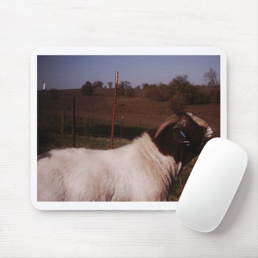 pictures024 マウスパッド (マウス)