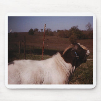 pictures024 マウスパッド