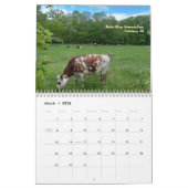 Picturesque Seasonal Landscapes Calendar カレンダー (3月 2026)