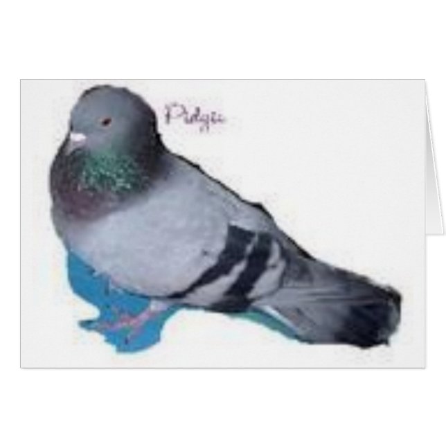 Pidgie The Pidgie Fund Pigeon (正面横)