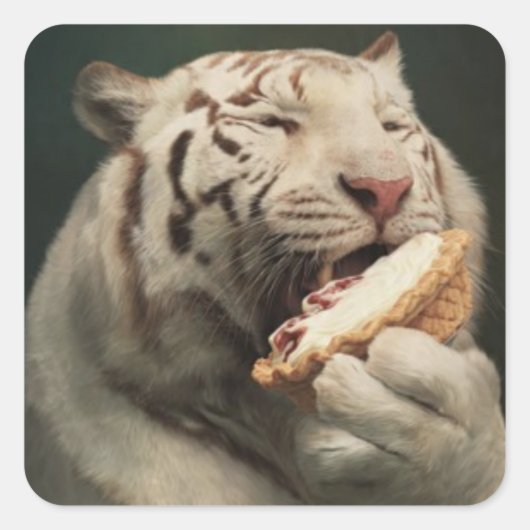 Pie-Loving White Tiger – Fun Sticker スクエアシール (正面)