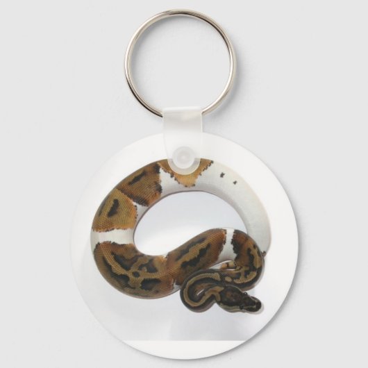 piebald ball python keychain キーホルダー (正面)