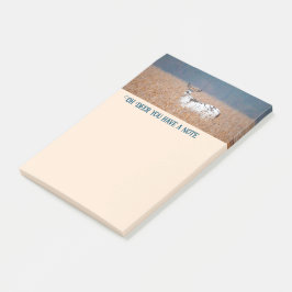 Piebald Deerの写真 ポストイット