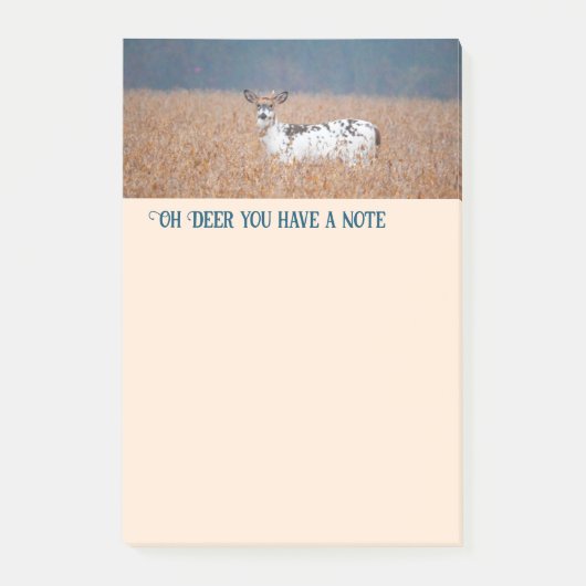 Piebald Deerの写真 ポストイット (正面)