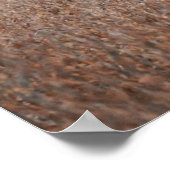 Piebald Deer Photo Poster ポスター (角)