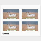 Piebald Deer Photo Stickers 長方形シール (シート)
