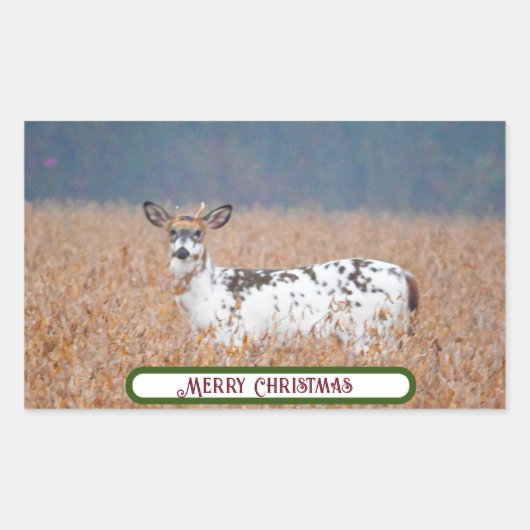 Piebald Deer Photo Stickers 長方形シール (正面)