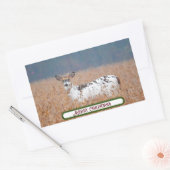 Piebald Deer Photo Stickers 長方形シール (封筒)