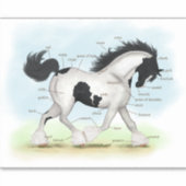 Piebald Gypsy Horse Equestrian解剖図 シール (正面)