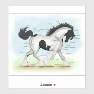 Piebald Gypsy Horse Equestrian解剖図 シール
