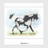 Piebald Overo Pinto Horse Equestrian解剖図 シール (シート)