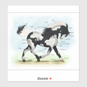 Piebald Overo Pinto Horse Equestrian解剖図 シール