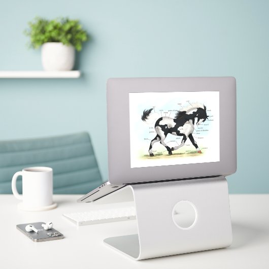 Piebald Overo Pinto Horse Equestrian解剖図 シール (デスク上のノートパソコン)