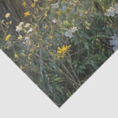 Piebald Peacock on Split rail fence 薄葉紙 (詳細)