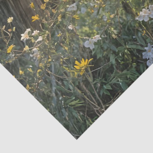 Piebald Peacock on Split rail fence 薄葉紙 (詳細)