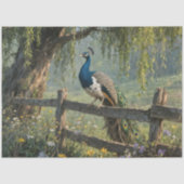 Piebald Peacock on Split rail fence 薄葉紙 (正面)