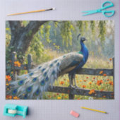 Piebald Peacock on Split rail fence 薄葉紙 (クラフト)