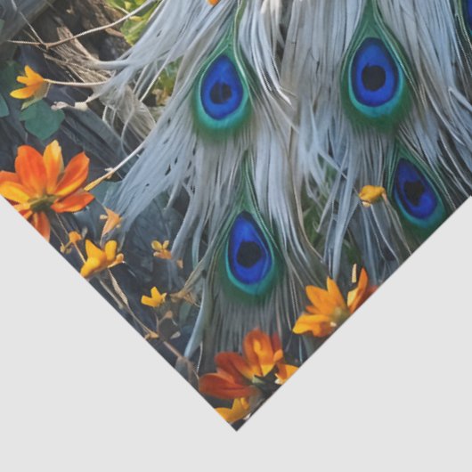 Piebald Peacock on Split rail fence 薄葉紙 (詳細)