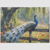 Piebald Peacock on Split rail fence 薄葉紙 (正面)