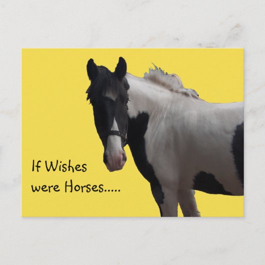Piebald Pony Wishes絵を描黄色い写真 ポストカード (正面)