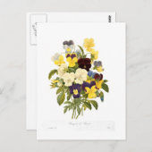 Pierre-Joseph Redoteによるパンジーの花束 ポストカード (正面/裏面)