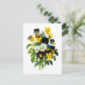 Pierre Joseph Redouteによる青と黄色のパンジー ポストカード (スタンド正面)