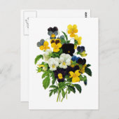 Pierre Joseph Redouteによる青と黄色のパンジー ポストカード (正面/裏面)