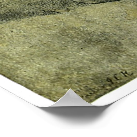 Pieta for Vittoria Colonna by Michelangelo ポスター (角)