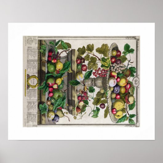 Pieter Casteels, 12ヶ月の果物， June ポスター (正面)