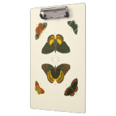 Pieter Cramer著明るい蝶 クリップボード (左)