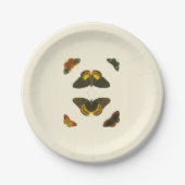 Pieter Cramer著明るい蝶 ペーパープレート (正面)