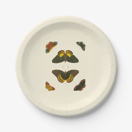 Pieter Cramer著明るい蝶 ペーパープレート (正面)