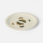 Pieter Cramer著明るい蝶 ペーパープレート (アングル)