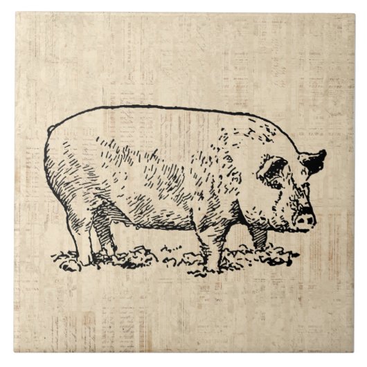 Pigと図解入りの、写真付きのヴィンテージ・スクリプトのバックグラウンド タイル (正面)