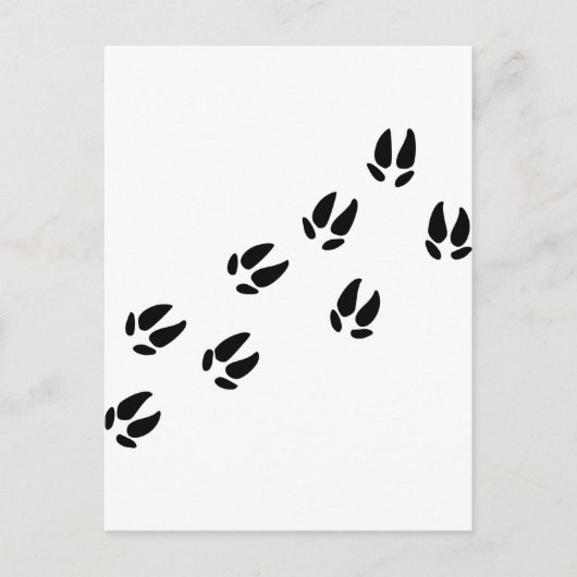 Pig – トラック ポストカード (正面)