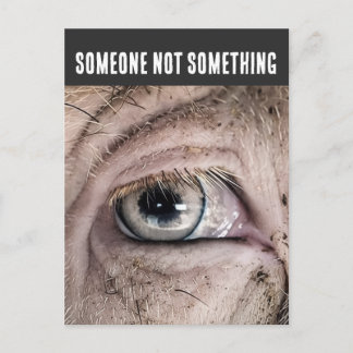 PIG Postcard, SOMEONE NOT SOMETHING ポストカード