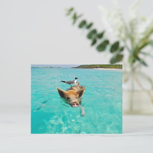 PIG SEAGULL SEA FUN POSTCROSSING ポストカード (スタンド正面)