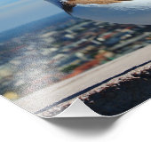 Pigeon à Budapest フォトプリント (角)