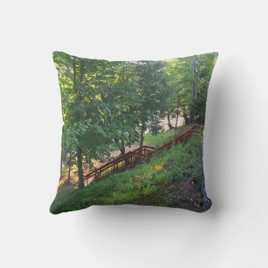 Pigeon Forge クッション (裏面)