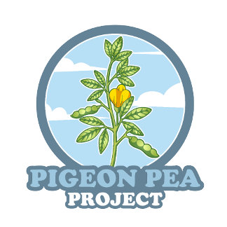 Pigeon Peaプロジェクト：ショルダーロゴ Tシャツ